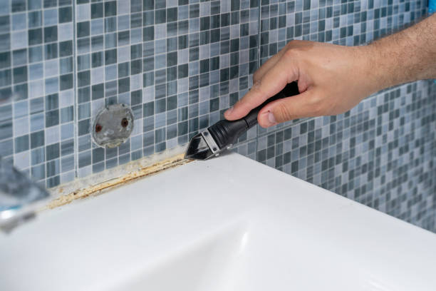 Professional Mold Remediation in Lisbon, OH